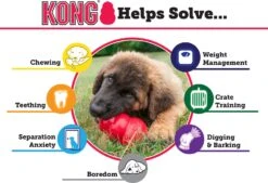 Kong Hondenspeelgoed Extreme Zwart D 7 H 10 Cm -Dierenwinkel Met Korting 0035585111124 3