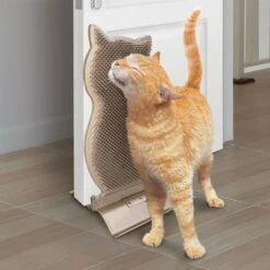Kong Kattenspeelgoed Connects Kitty Comber Beige 23 X 7 X 37 Cm -Dierenwinkel Met Korting 0035585404028 3
