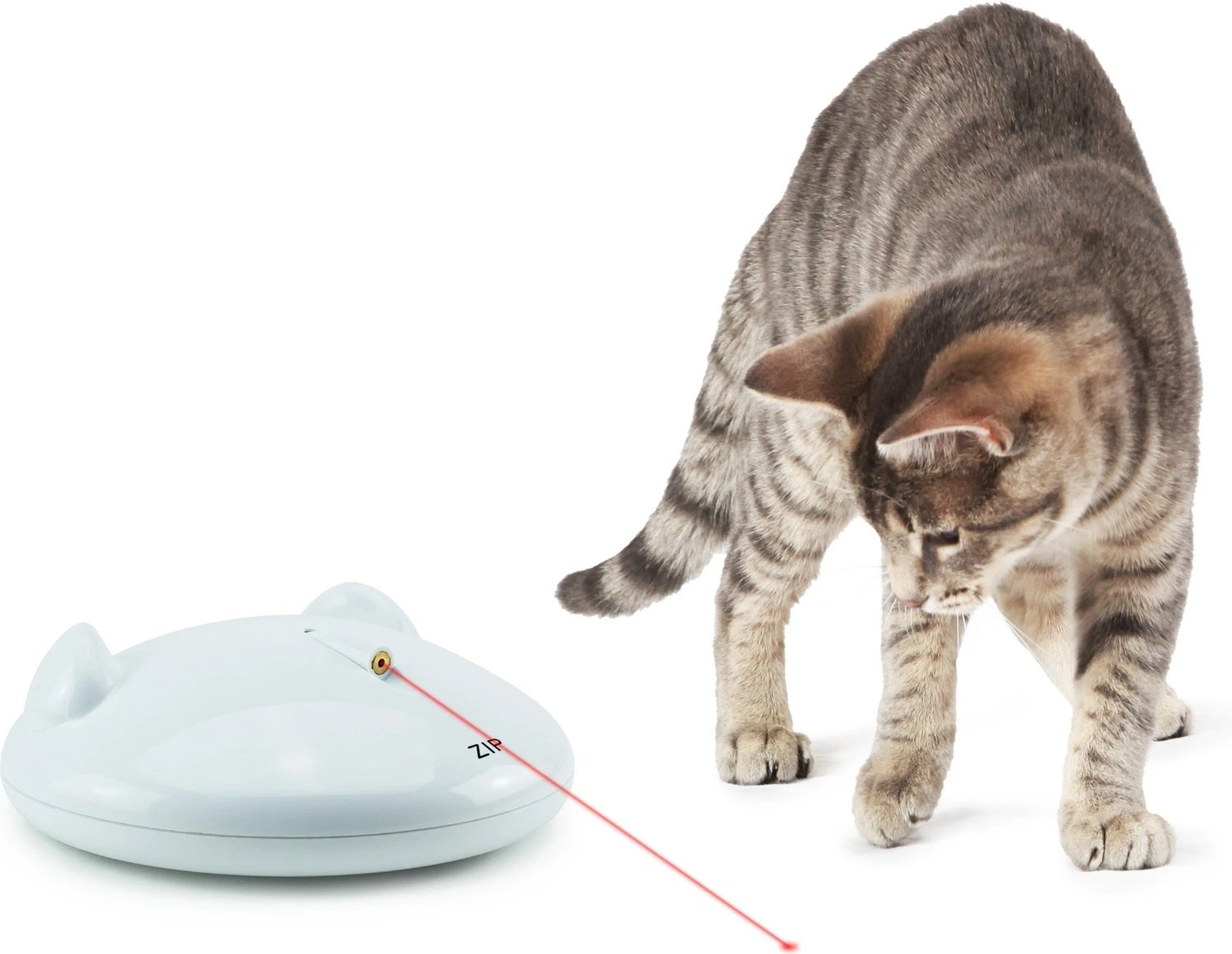 FroliCat Kattenspeelgoed Zip Laser Wit 0,5 X 15,5 X 15,5 Cm 5 FroliCat Kattenspeelgoed Zip Laser Wit 0,5 X 15,5 X 15,5 Cm - Afbeelding 3
