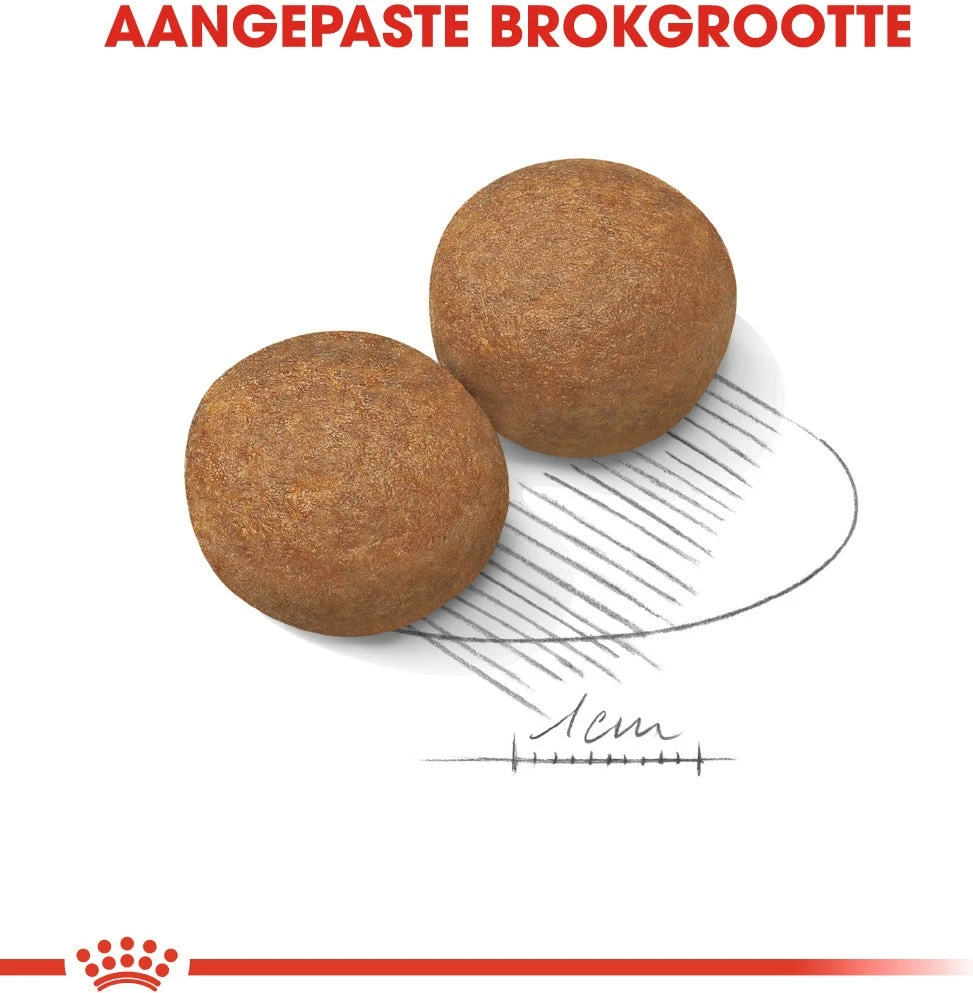 Royal Canin Hondenvoer Maxi Adult 15 Kg 4 Royal Canin Hondenvoer Maxi Adult 15 Kg - Afbeelding 2
