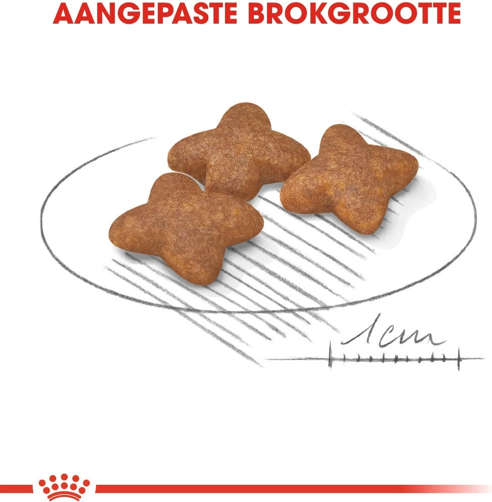 Royal Canin Hondenvoer Mini Adult 2 Kg 4 Royal Canin Hondenvoer Mini Adult 2 Kg - Afbeelding 2