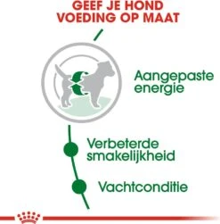 Royal Canin Hondenvoer Mini Adult 2 Kg 10 Royal Canin Hondenvoer Mini Adult 2 Kg -Dierenwinkel Met Korting 3182550402170 3