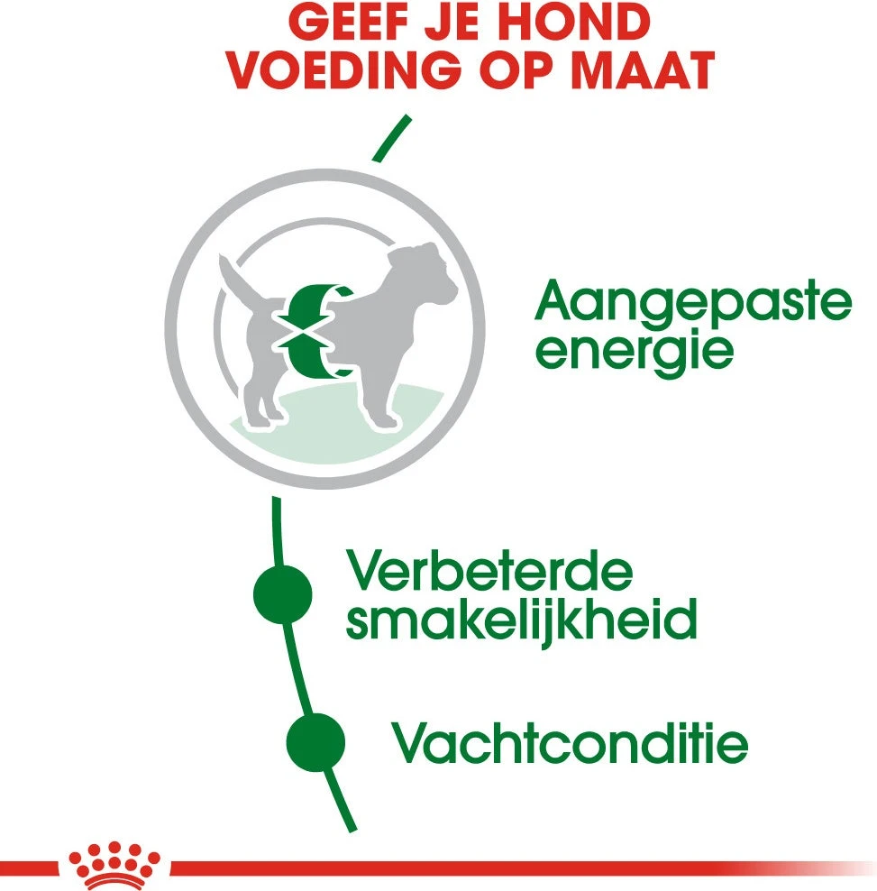 Royal Canin Hondenvoer Mini Adult 2 Kg 5 Royal Canin Hondenvoer Mini Adult 2 Kg - Afbeelding 3