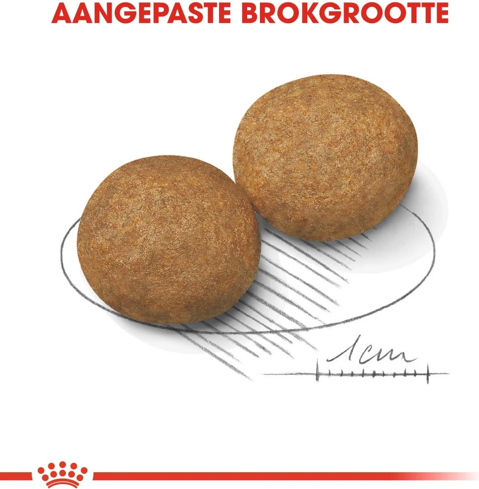 Royal Canin Hondenvoer Medium Adult 15 Kg 4 Royal Canin Hondenvoer Medium Adult 15 Kg - Afbeelding 2