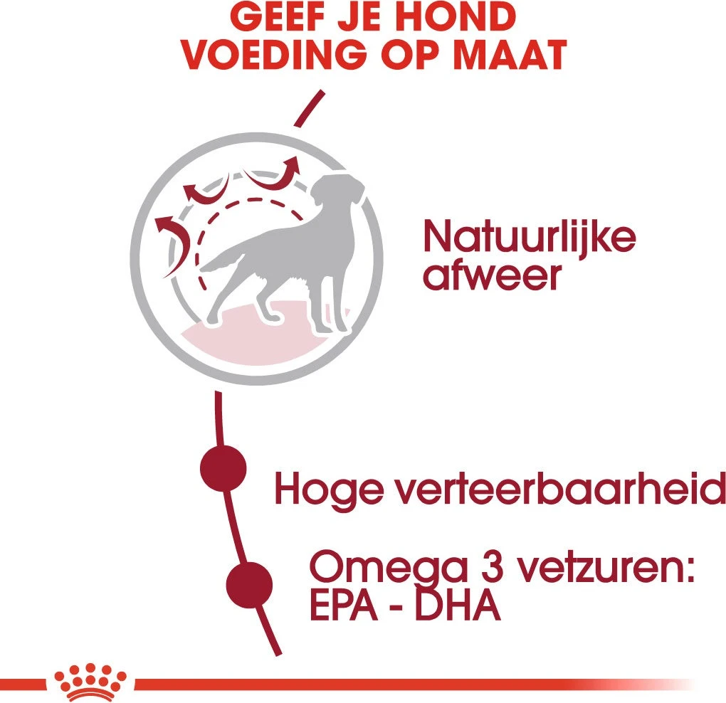 Royal Canin Hondenvoer Medium Adult 15 Kg 5 Royal Canin Hondenvoer Medium Adult 15 Kg - Afbeelding 3