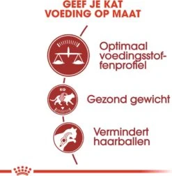 Royal Canin Kattenvoer Fit 32 10 Kg -Dierenwinkel Met Korting 3182550702249 3