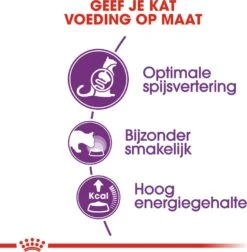 Royal Canin Kattenvoer Sensible 33 4 Kg 9 Royal Canin Kattenvoer Sensible 33 4 Kg -Dierenwinkel Met Korting 3182550702331 3