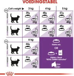 Royal Canin Kattenvoer Sensible 33 10 Kg 10 Royal Canin Kattenvoer Sensible 33 10 Kg -Dierenwinkel Met Korting 3182550702355 4