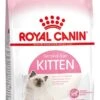 Royal Canin Kattenvoer Kitten 10 Kg -Dierenwinkel Met Korting 3182550702973 2