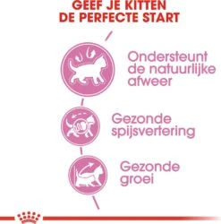 Royal Canin Kattenvoer Kitten 10 Kg -Dierenwinkel Met Korting 3182550702973 3