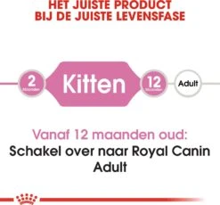 Royal Canin Kattenvoer Kitten 10 Kg -Dierenwinkel Met Korting 3182550702973 4