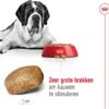Royal Canin Hondenvoer Giant Adult 15 Kg -Dierenwinkel Met Korting 3182550703079 1