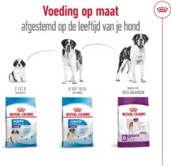 Royal Canin Hondenvoer Giant Adult 15 Kg -Dierenwinkel Met Korting 3182550703079 3