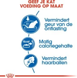 Royal Canin Kattenvoer Indoor 27 4 Kg -Dierenwinkel Met Korting 3182550706933 3