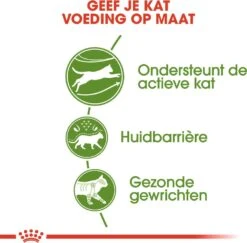 Royal Canin Kattenvoer Outdoor 10 Kg -Dierenwinkel Met Korting 3182550707398 3