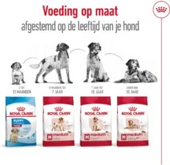 Royal Canin Medium Adult 7+ 4 Kg -Dierenwinkel Met Korting 3182550708203 3