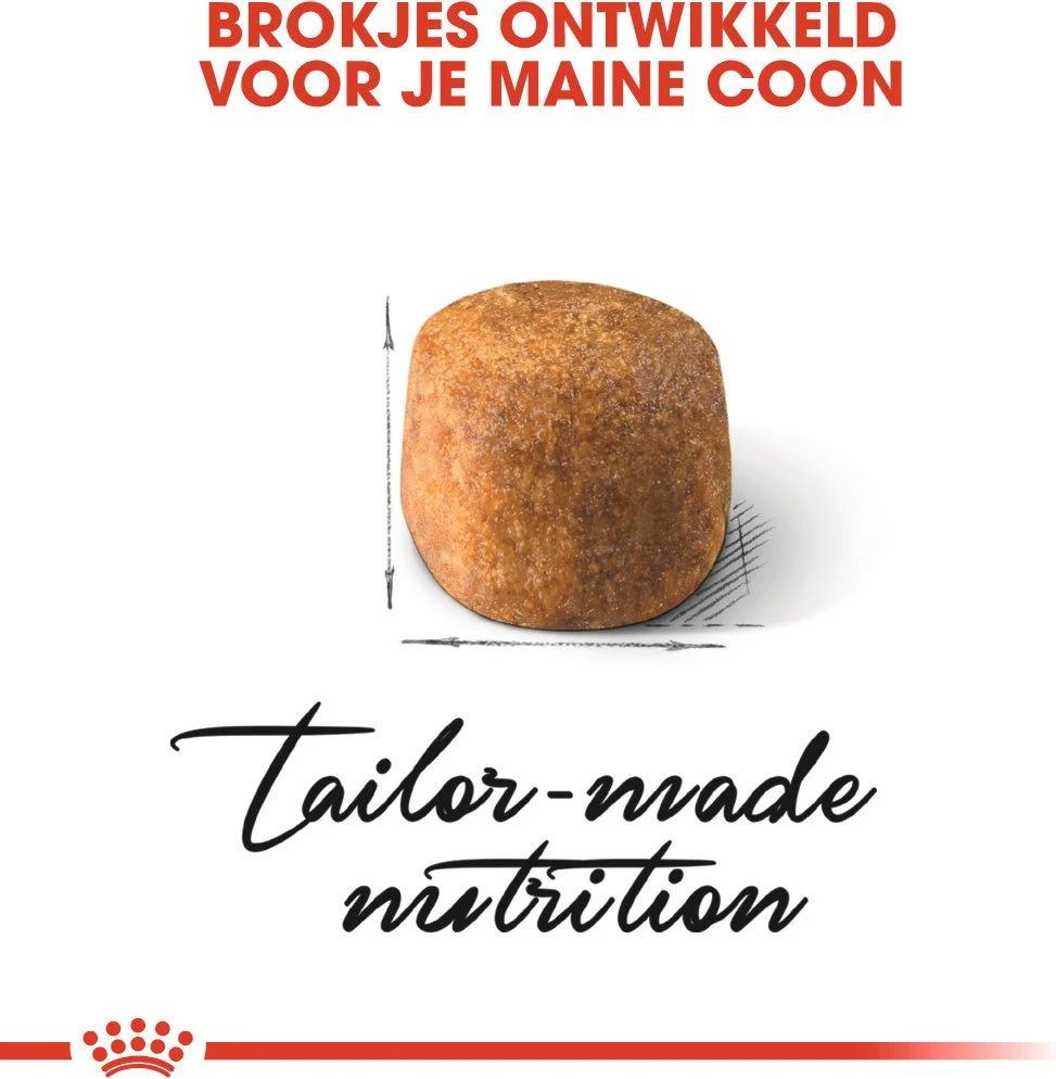 Royal Canin Kattenvoer Maine Coon Adult 2 Kg 5 Royal Canin Kattenvoer Maine Coon Adult 2 Kg - Afbeelding 3