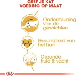 Royal Canin Kattenvoer Maine Coon Adult 2 Kg 11 Royal Canin Kattenvoer Maine Coon Adult 2 Kg -Dierenwinkel Met Korting 3182550710640 4