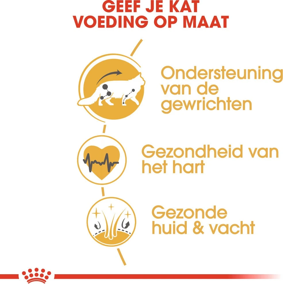 Royal Canin Kattenvoer Maine Coon Adult 2 Kg 6 Royal Canin Kattenvoer Maine Coon Adult 2 Kg - Afbeelding 4