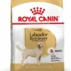Royal Canin Hondenvoer Labrador Retriever Adult 3 Kg 2 Royal Canin Hondenvoer Labrador Retriever Adult 3 Kg -Dierenwinkel Met Korting 3182550715614 1