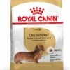 Royal Canin Hondenvoer Dachshund Adult 1,5 Kg 1 Royal Canin Hondenvoer Dachshund Adult 1,5 Kg -Dierenwinkel Met Korting 3182550717335 3