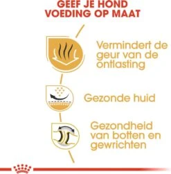 Royal Canin Hondenvoer Bulldog Adult 12 Kg -Dierenwinkel Met Korting 3182550719803 4