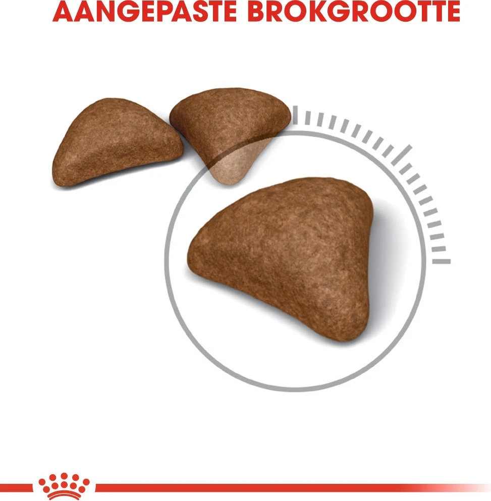 Royal Canin Kattenvoer Hairball Care 4 Kg 4 Royal Canin Kattenvoer Hairball Care 4 Kg - Afbeelding 2