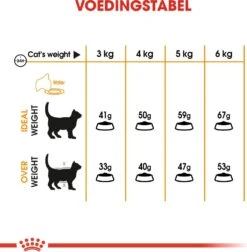 Royal Canin Kattenvoer Hair En Skin Care 4 Kg 10 Royal Canin Kattenvoer Hair En Skin Care 4 Kg -Dierenwinkel Met Korting 3182550721745 4