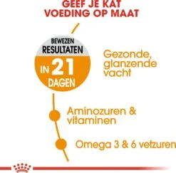 Royal Canin Kattenvoer Hair & Skin Care 10 Kg 9 Royal Canin Kattenvoer Hair & Skin Care 10 Kg -Dierenwinkel Met Korting 3182550721752 3