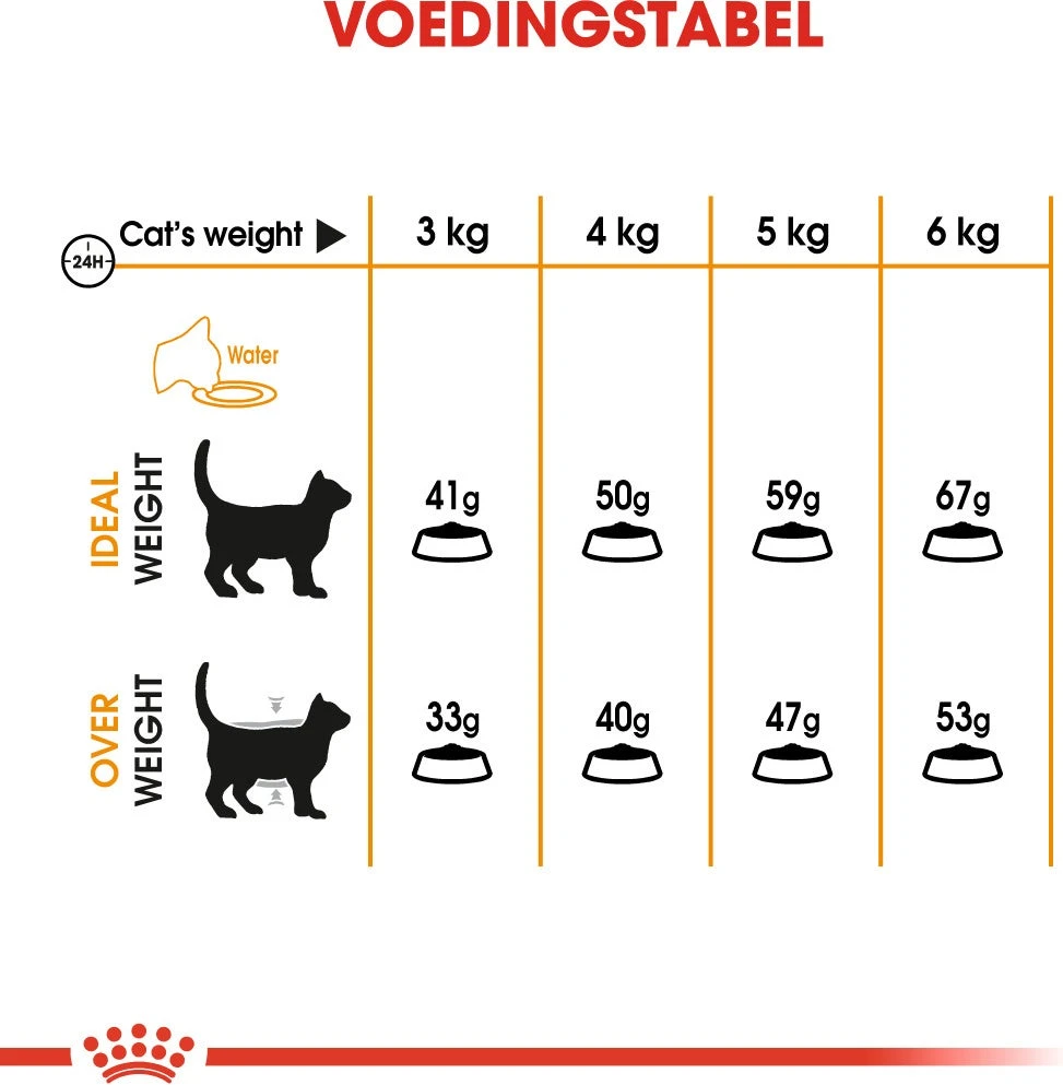 Royal Canin Kattenvoer Hair & Skin Care 10 Kg 6 Royal Canin Kattenvoer Hair & Skin Care 10 Kg - Afbeelding 4