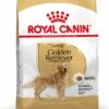 Royal Canin Hondenvoer Golden Retriever Adult 12 Kg -Dierenwinkel Met Korting 3182550743440 1