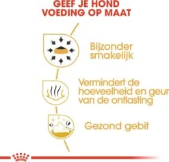 Royal Canin Hondenvoer Chihuahua Adult 3 Kg -Dierenwinkel Met Korting 3182550747820 4