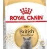 Royal Canin Kattenvoer British Shorthair Adult 4 Kg -Dierenwinkel Met Korting 3182550756440 2