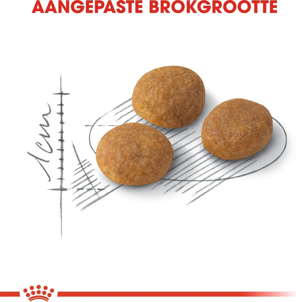 Royal Canin Kattenvoer Aroma Exigent 2 Kg 4 Royal Canin Kattenvoer Aroma Exigent 2 Kg - Afbeelding 2