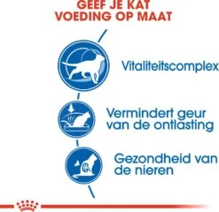 Royal Canin Kattenvoer Indoor 7+ 1,5 Kg -Dierenwinkel Met Korting 3182550784399 3
