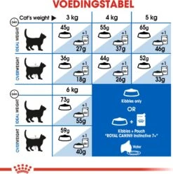 Royal Canin Kattenvoer Indoor 7+ 3,5 Kg -Dierenwinkel Met Korting 3182550784412 5
