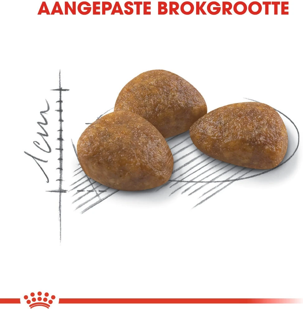 Royal Canin Kattenvoer Outdoor 7+ 2 Kg 4 Royal Canin Kattenvoer Outdoor 7+ 2 Kg - Afbeelding 2