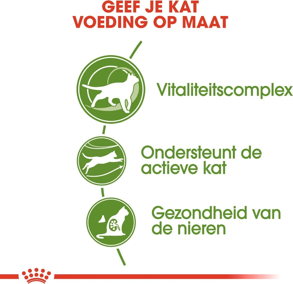 Royal Canin Kattenvoer Outdoor 7+ 2 Kg 5 Royal Canin Kattenvoer Outdoor 7+ 2 Kg - Afbeelding 3