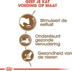 Royal Canin Kattenvoer Ageing 12+ 2 Kg -Dierenwinkel Met Korting 3182550786218 3