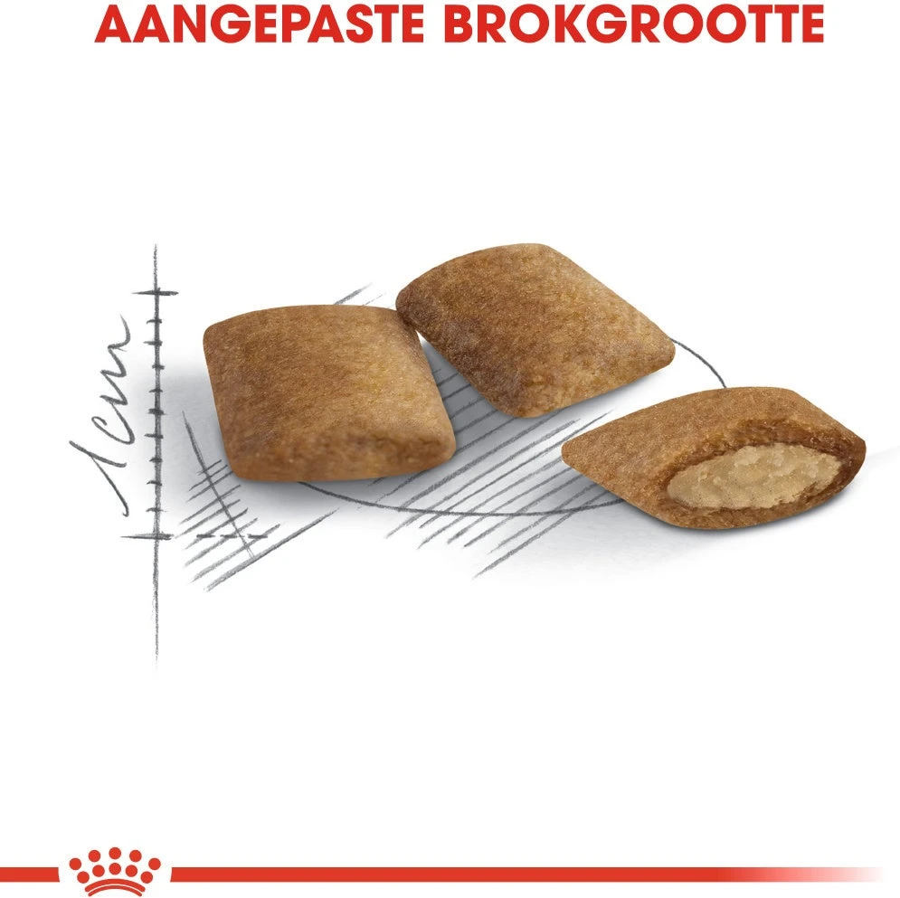 Royal Canin Kattenvoer Ageing 12+ 4 Kg 4 Royal Canin Kattenvoer Ageing 12+ 4 Kg - Afbeelding 2