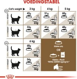Royal Canin Kattenvoer Ageing 12+ 4 Kg 12 Royal Canin Kattenvoer Ageing 12+ 4 Kg -Dierenwinkel Met Korting 3182550786225 5
