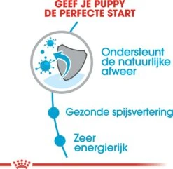 Royal Canin Hondenvoer Mini Puppy 2 Kg -Dierenwinkel Met Korting 3182550793001 3