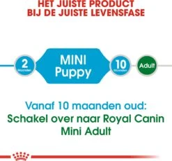 Royal Canin Hondenvoer Mini Puppy 2 Kg -Dierenwinkel Met Korting 3182550793001 4