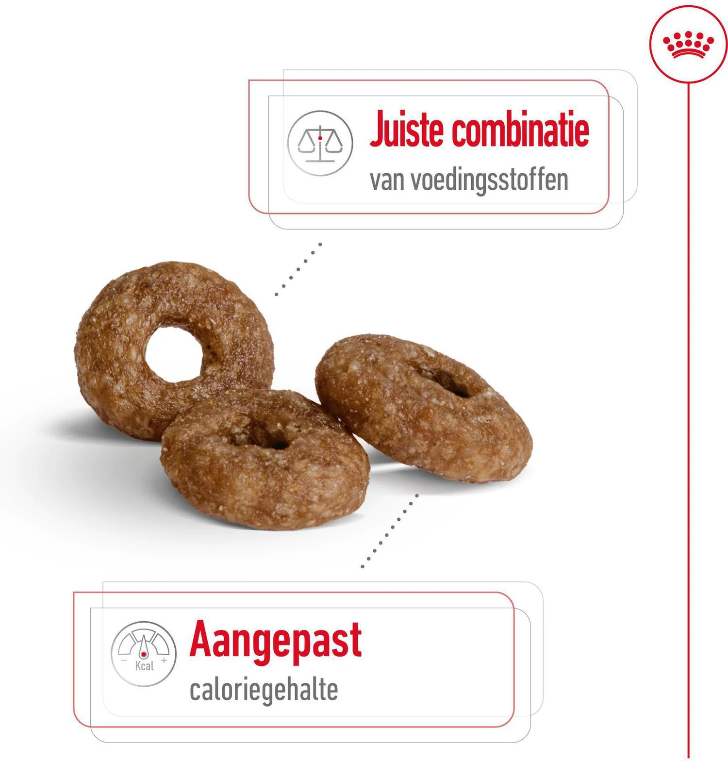 Royal Canin Hondenvoer Mini Ageing 12+ 3,5 Kg 5 Royal Canin Hondenvoer Mini Ageing 12+ 3,5 Kg - Afbeelding 3