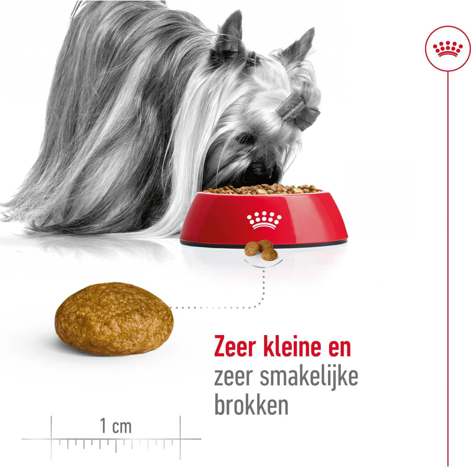 Royal Canin Hondenvoer X-Small Adult 1,5 Kg 6 Royal Canin Hondenvoer X-Small Adult 1,5 Kg - Afbeelding 4