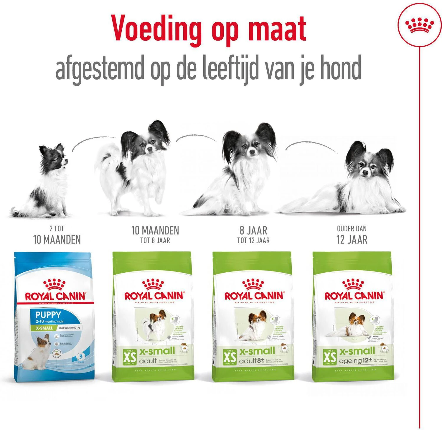 Royal Canin Hondenvoer X-Small Adult 1,5 Kg 7 Royal Canin Hondenvoer X-Small Adult 1,5 Kg - Afbeelding 5