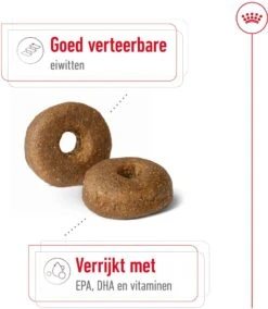 Royal Canin Hondenvoer Maxi Ageing 8+ 15 Kg -Dierenwinkel Met Korting 3182550803113 5
