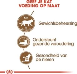 Royal Canin Kattenvoer Ageing Sterilised 12+ 2 Kg -Dierenwinkel Met Korting 3182550805384 3