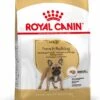 Royal Canin Hondenvoer French Bulldog Adult 3 Kg -Dierenwinkel Met Korting 3182550811637 1