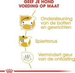 Royal Canin Hondenvoer Dachshund Adult 7,5 Kg -Dierenwinkel Met Korting 3182550812016 4